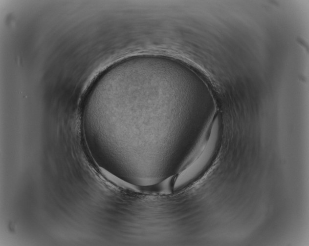 X0000091291506200708311307