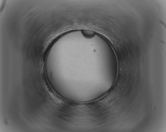 X0000091291507200708311307