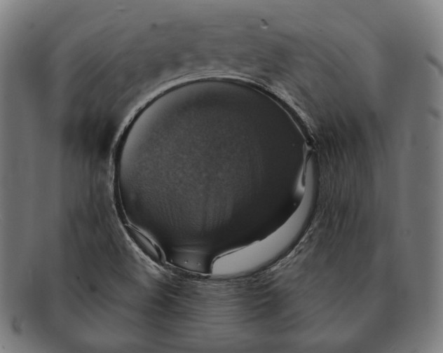 X0000091291508200708311307