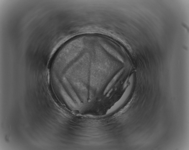 X0000091291509200708311307