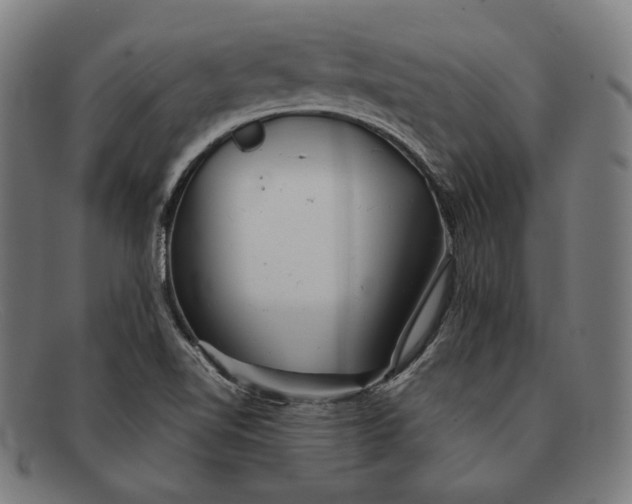 X0000091291510200708311307