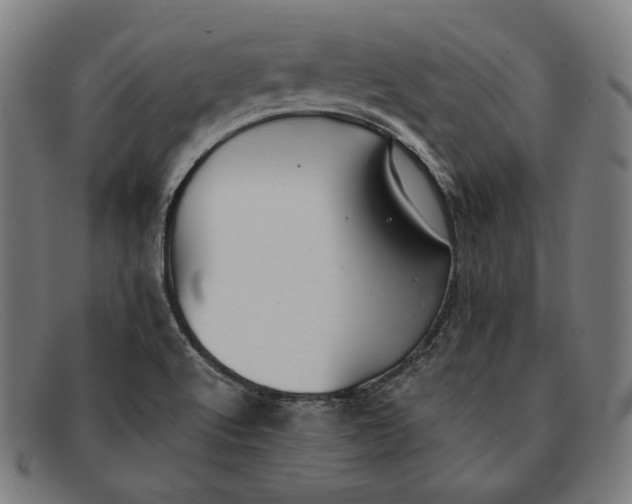 X0000091291512200708311307