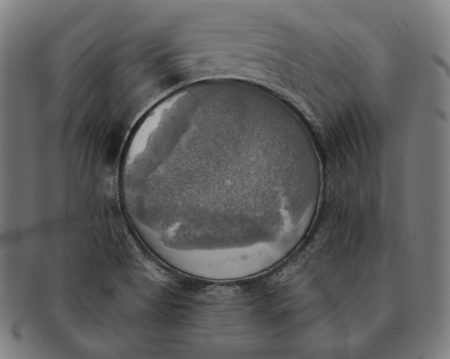 X0000091291513200708311307