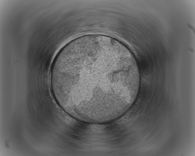 X0000091291514200708311307