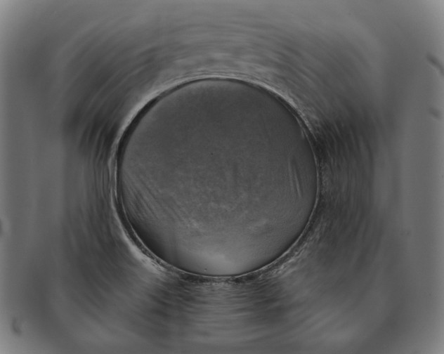 X0000091291515200708311307