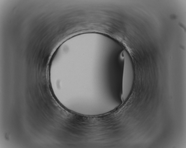 X0000091291516200708311307