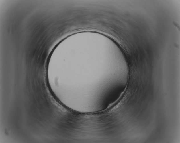 X0000091291518200708311307