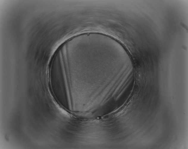 X0000091291519200708311307