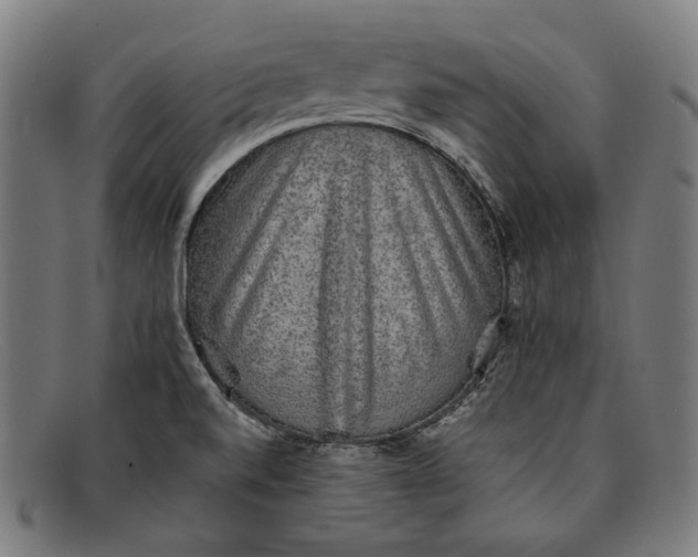 X0000091291520200708311307