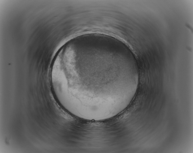 X0000091291522200708311307