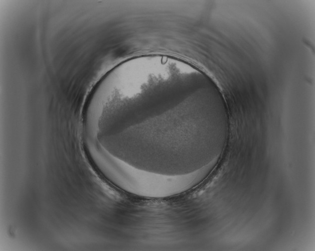 X0000091291525200708311307