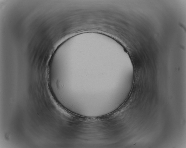 X0000091291526200708311307