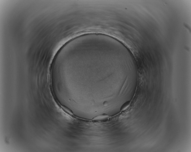 X0000091291527200708311307