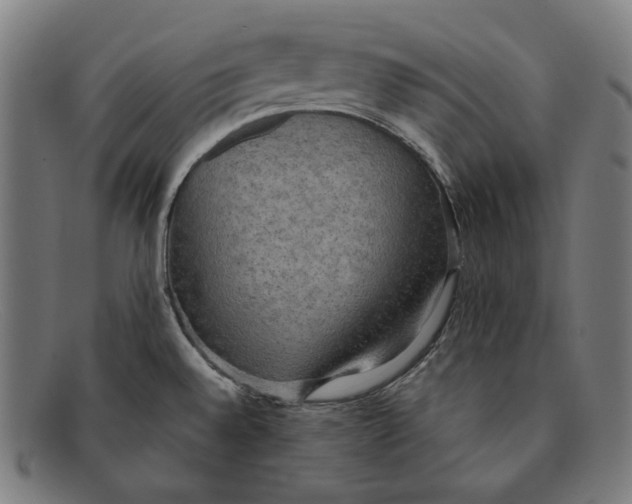 X0000091291528200708311307