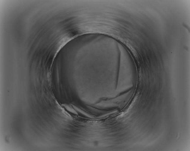 X0000091291529200708311307