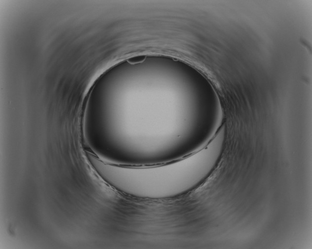 X0000091291530200708311307