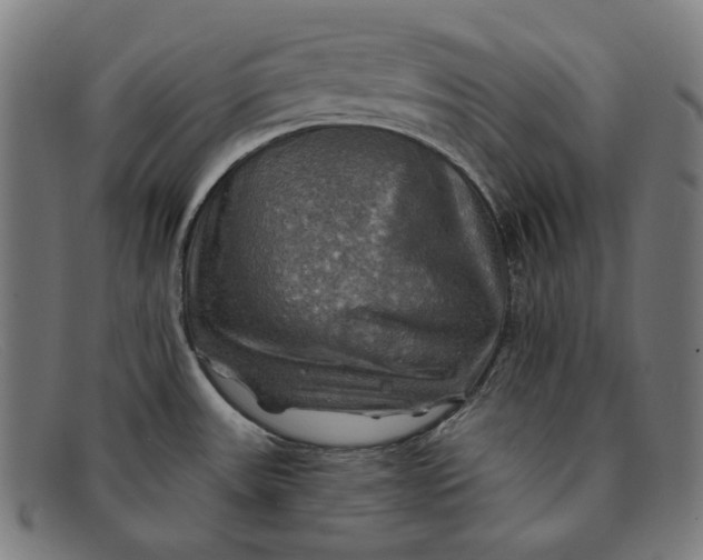 X0000091291531200708311307