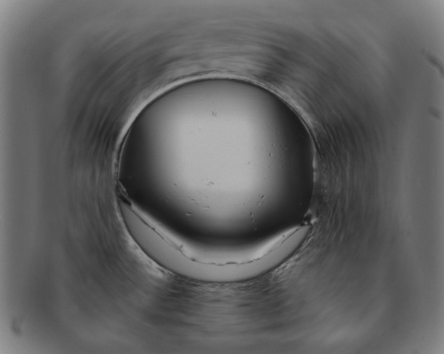 X0000091291532200708311307