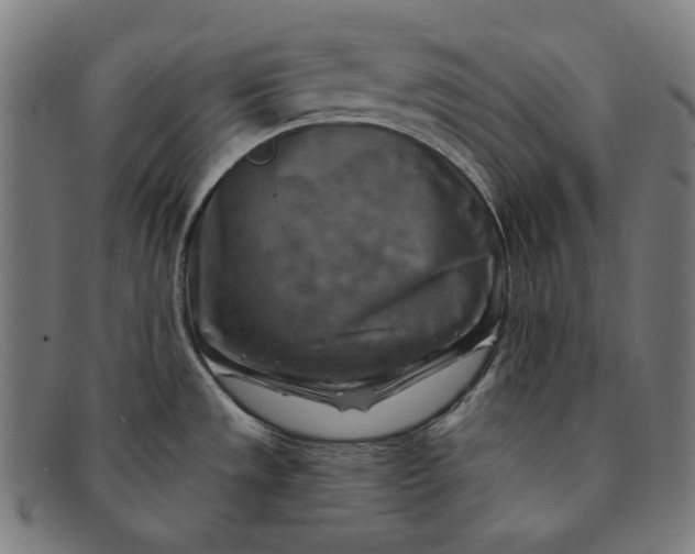 X0000091291533200708311307