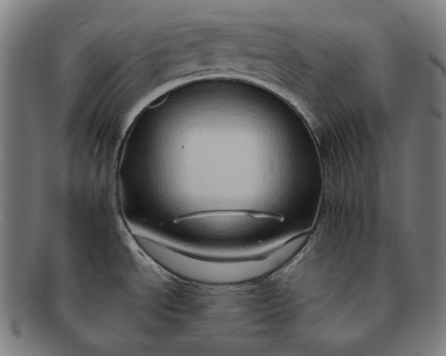 X0000091291534200708311307