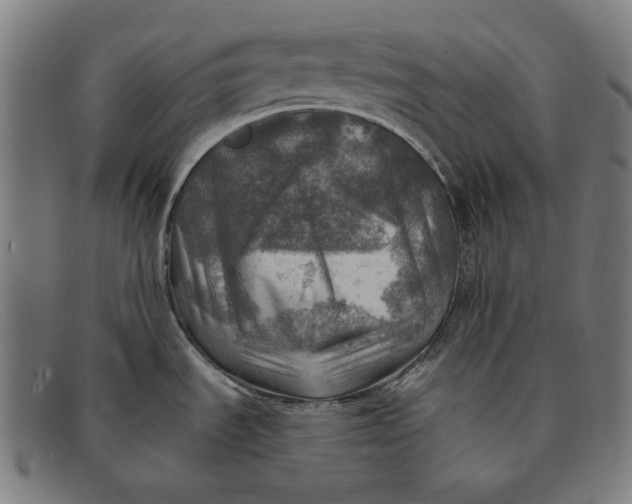 X0000091291535200708311307