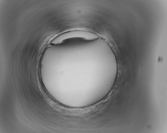 X0000091290001200709071042