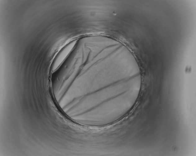 X0000091290002200709071042