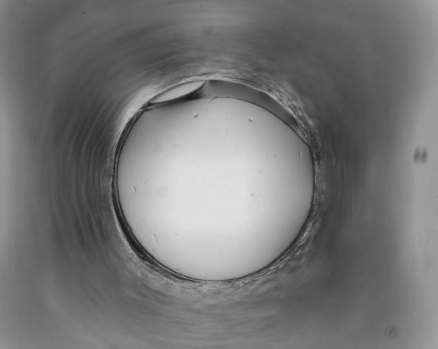 X0000091290003200709071042