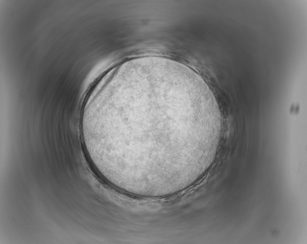 X0000091290004200709071042