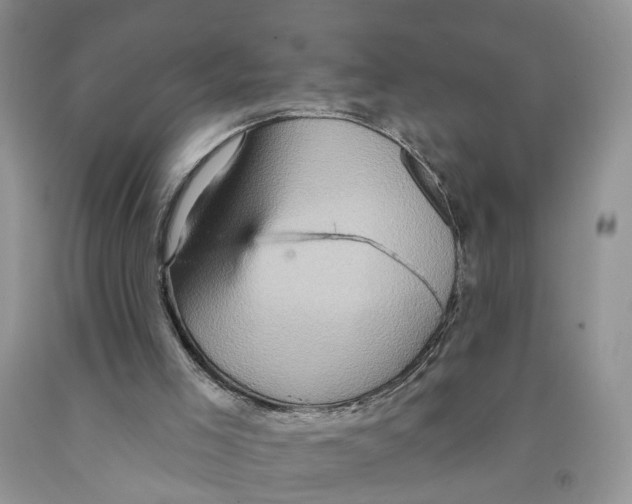 X0000091290005200709071042