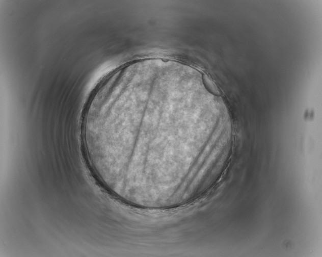 X0000091290006200709071042