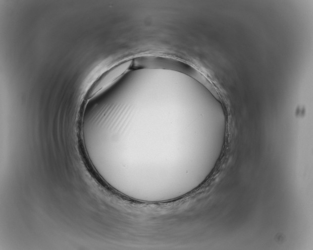 X0000091290007200709071042