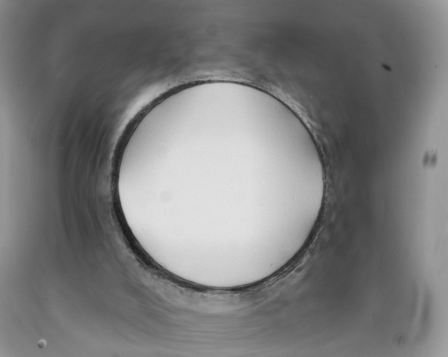 X0000091290008200709071042