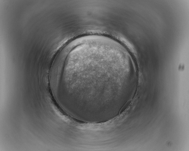 X0000091290009200709071042