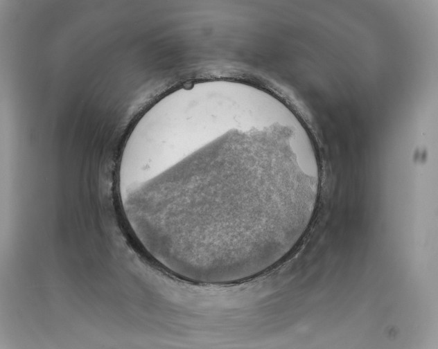 X0000091290010200709071041