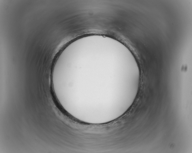 X0000091290011200709071041