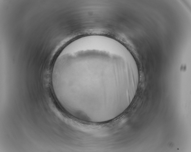 X0000091290012200709071041