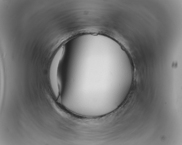 X0000091290013200709071041