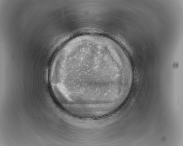 X0000091290014200709071041