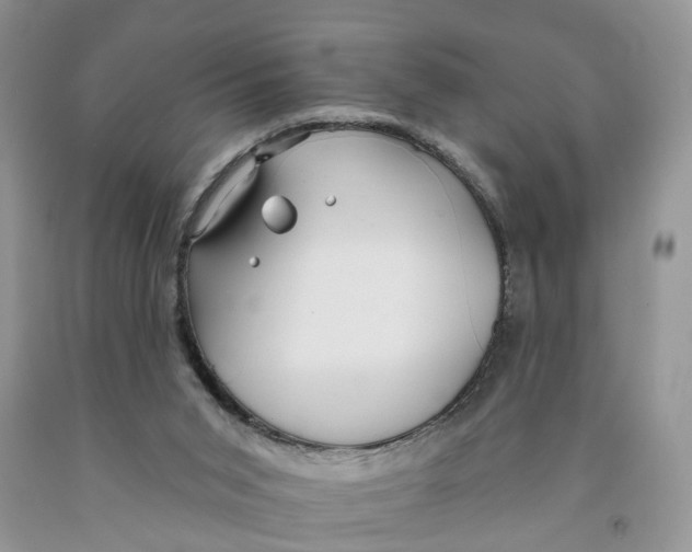 X0000091290015200709071041