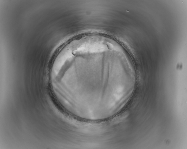 X0000091290016200709071041