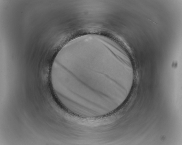 X0000091290018200709071041