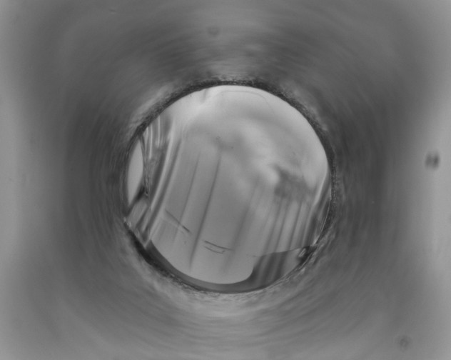 X0000091290019200709071041