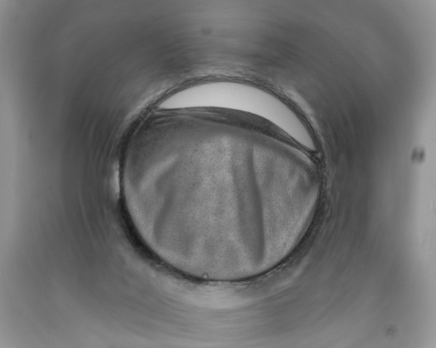 X0000091290020200709071041