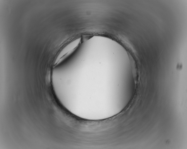 X0000091290021200709071041