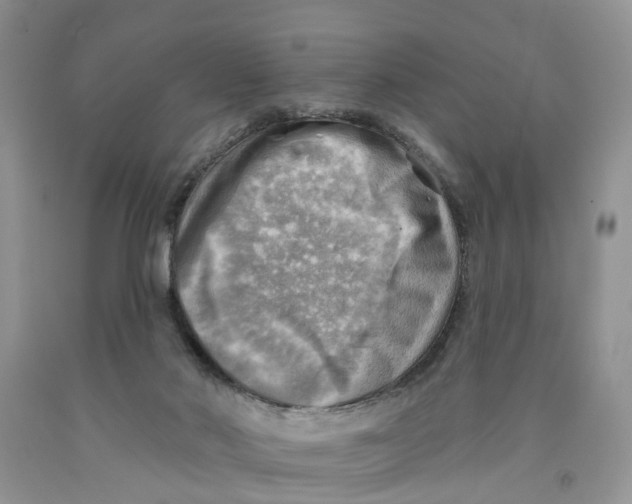 X0000091290022200709071041