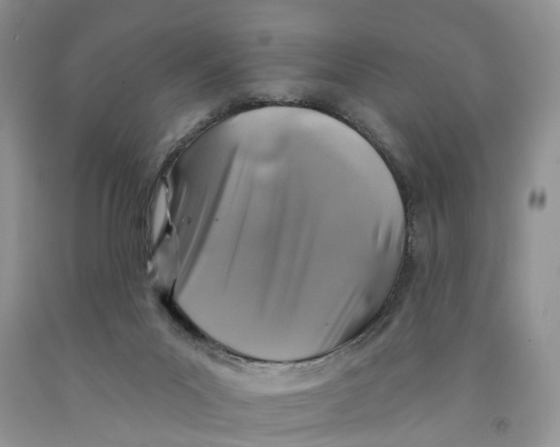 X0000091290023200709071041