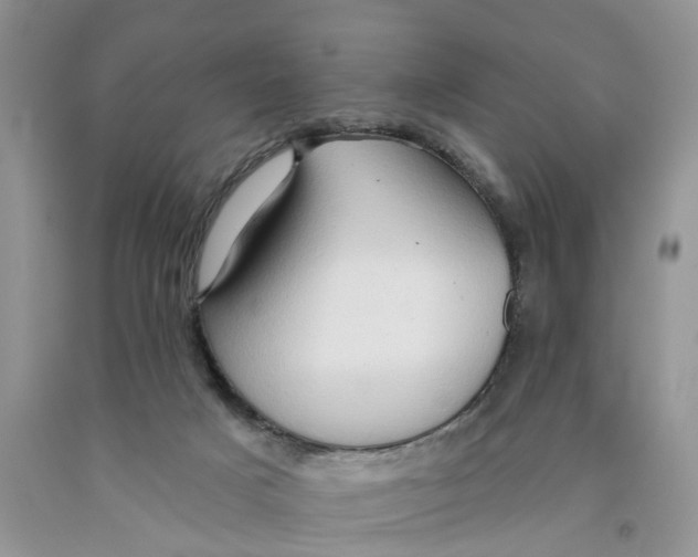 X0000091290025200709071041