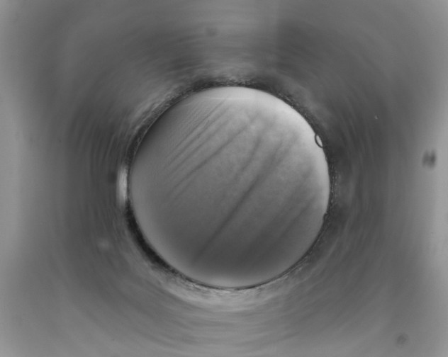 X0000091290027200709071041