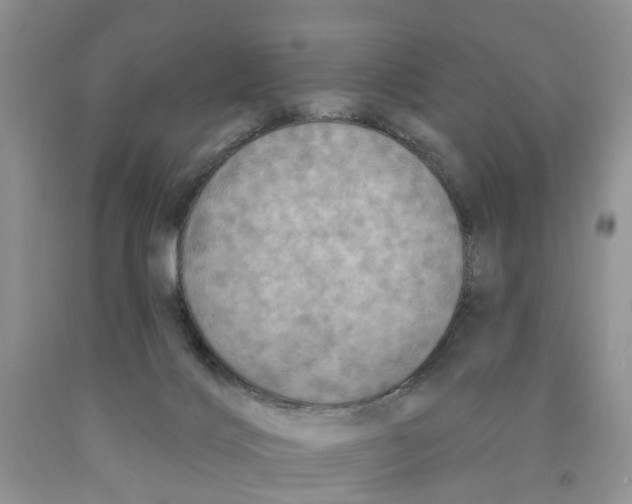 X0000091290028200709071041